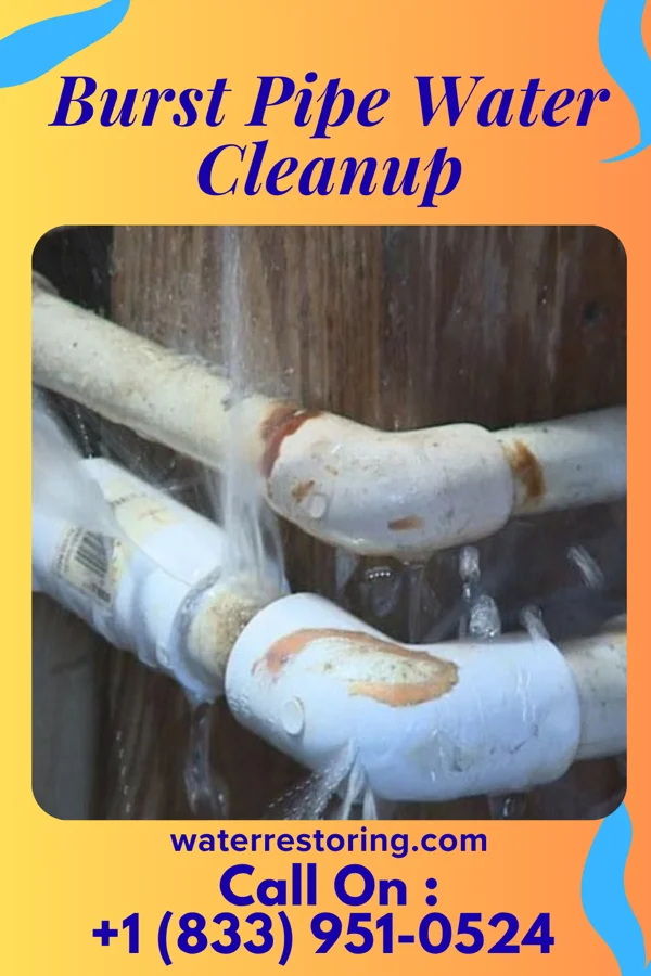 Burst Pipe Water Cleanup in Mount Jewett, PA