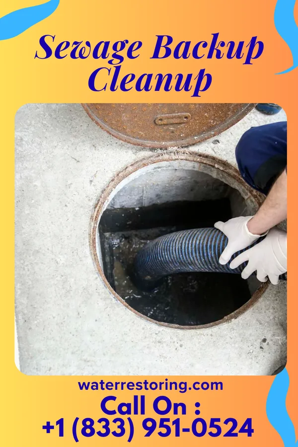 Sewage Backup Cleanup in Mount Jewett, PA