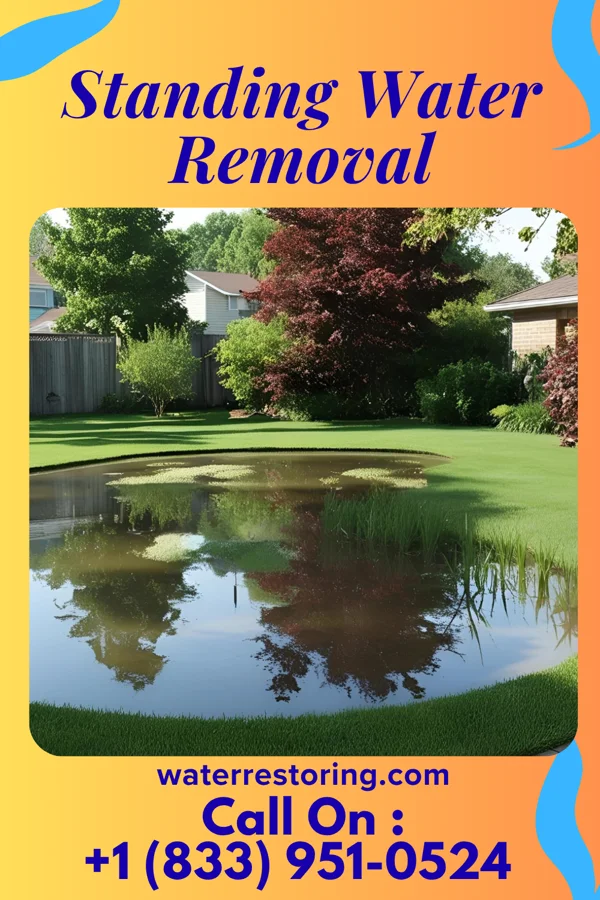Standing Water Removal in Mount Jewett, PA